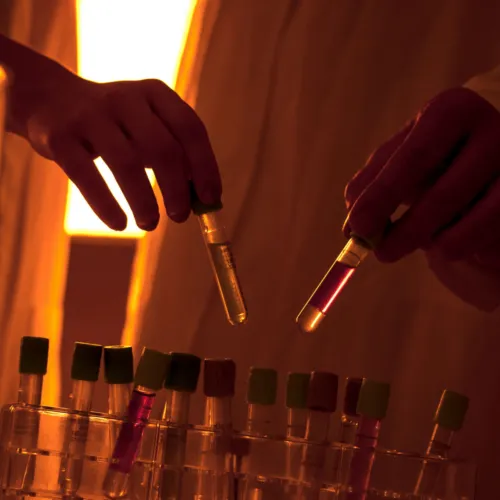 Laboratory and test tubes