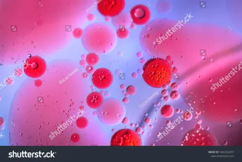 Rdi cells pink